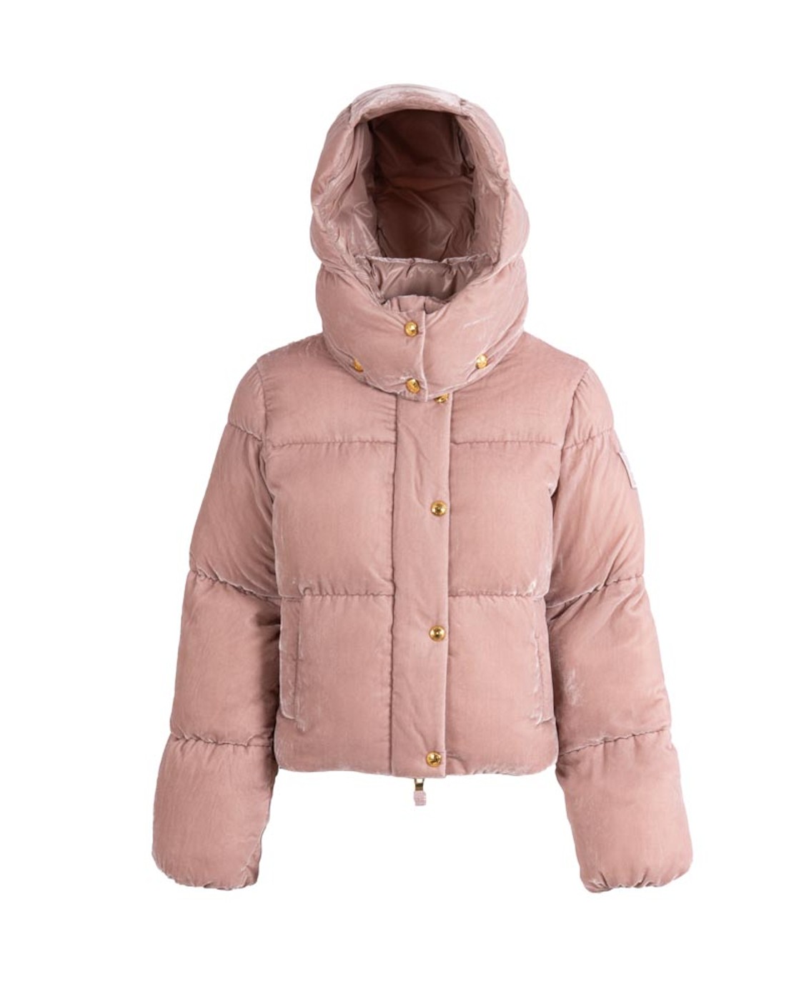 shop ELISABETTA FRANCHI  Piumino: Elisabetta Franchi piumino in velluto con cappuccio.
Piumino cropped in velluto dalla vestibilità regular. 
Collo a cratere con cappuccio amovibile.
Tasche a filetto.
Chiusura con patta abbottonata e zip. 
L'interno in tessuto vela garantisce protezione e comfort. 
Patch con logo.
Composizione: 75%Viscosa 25%Poliammide.
Fabbricato in Italia.. PI82D56E2-EA6 number 4906593